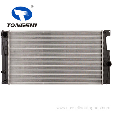 High Quality Auto Parts Radiator Radiadores OEM 17118672011